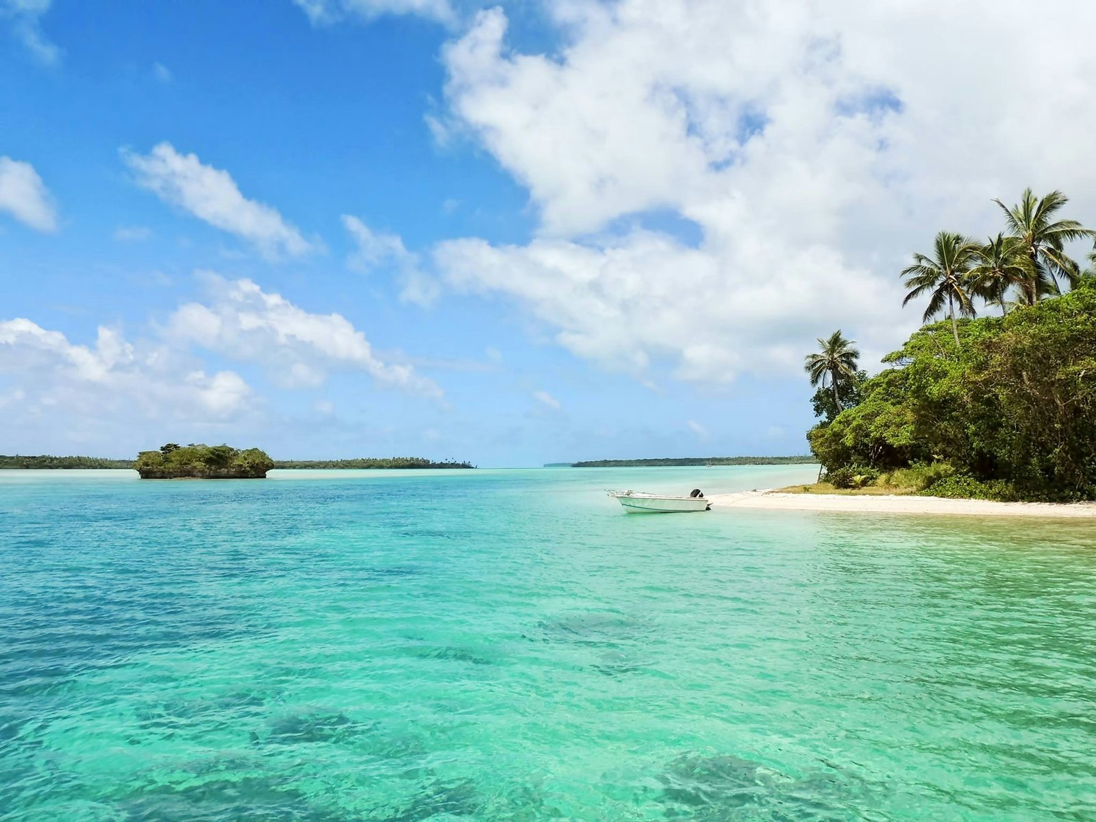 calm beach scenery